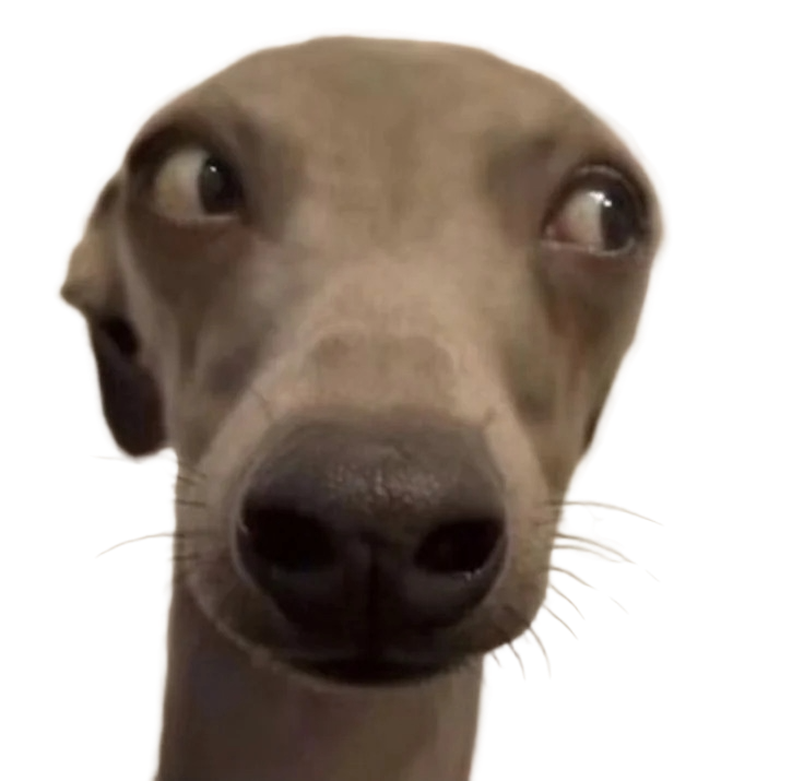 An imposter dog. Do not touch.